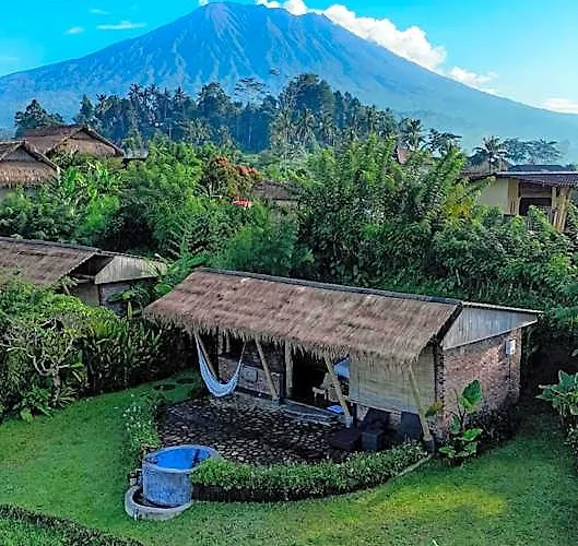 Shigar Livin Bali *