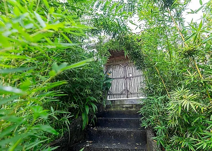Shigar Livin Bali