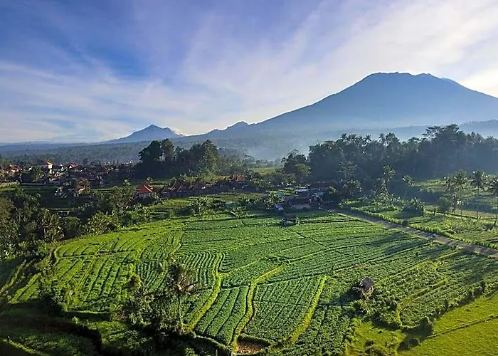 Shigar Livin Bali * Rendang